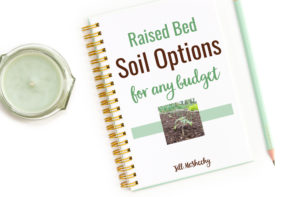 Raised Bed Soil Options for Any Budget