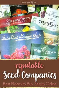 Reputable seed companies - where to buy seeds online