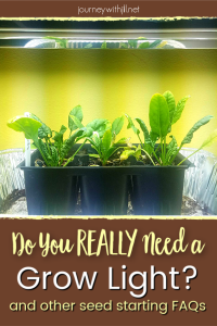 Do you need a grow light to start seeds indoors?