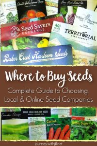 Where to Buy Seeds - Complete Guide to Choosing Local and Online Seed Companies