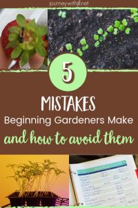 Mistakes Beginning Gardeners Make