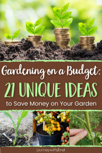 Gardening on a Budget - 21 Unique Ideas to Save money Gardening