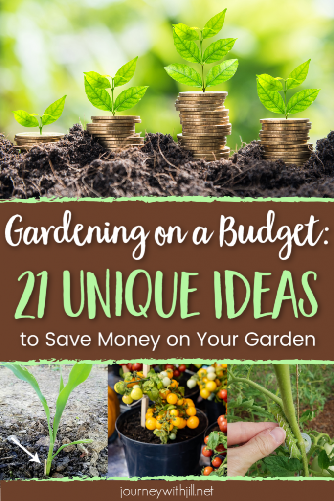 How to Save Money Gardening: 21 Uncommon Ideas | The Beginner's Garden