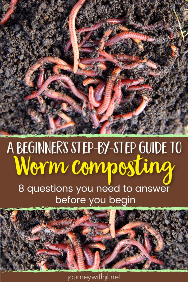 worm composting diy guide
