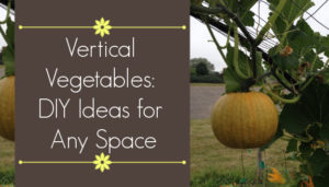 vertical vegetables - diy ideas for any space