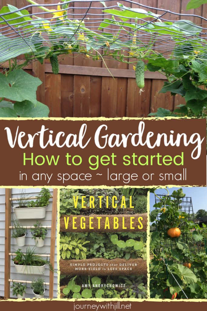 Vertical vegetables how to get started