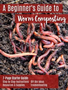 Worm Composting: A Step-by-Step Guide for Beginners
