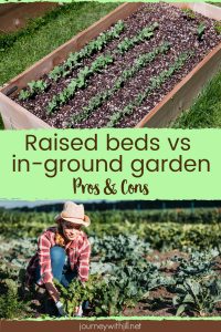 raised garden bed vs in ground bed