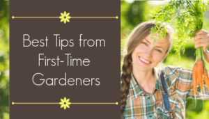 Best Tips from first-time gardeners