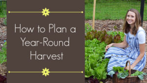 How to Plan a Year Round Harvest