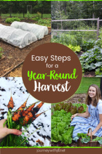 Easy Steps for a Year-Round Harvest
