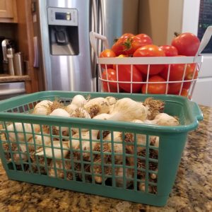 storing garlic in basket