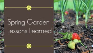 spring garden lessons learned