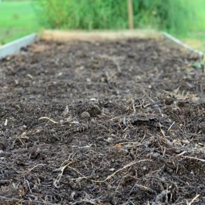 putting compost on garden during the fall