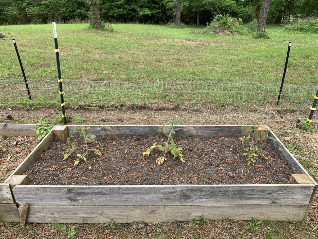 raised-bed-soil-3 - The Beginner's Garden
