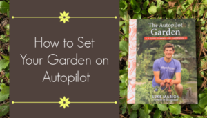 autopilot garden with Luke Marion MI Gardener