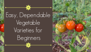 vegetable varieties for beginners