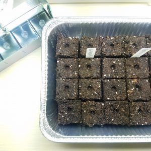 soil-block-tray