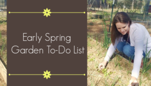 early spring garden checklist