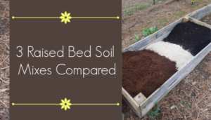 raised bed soil mix compared
