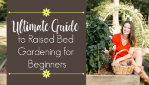 Raised Bed Gardening for Beginners Ultimate Guide
