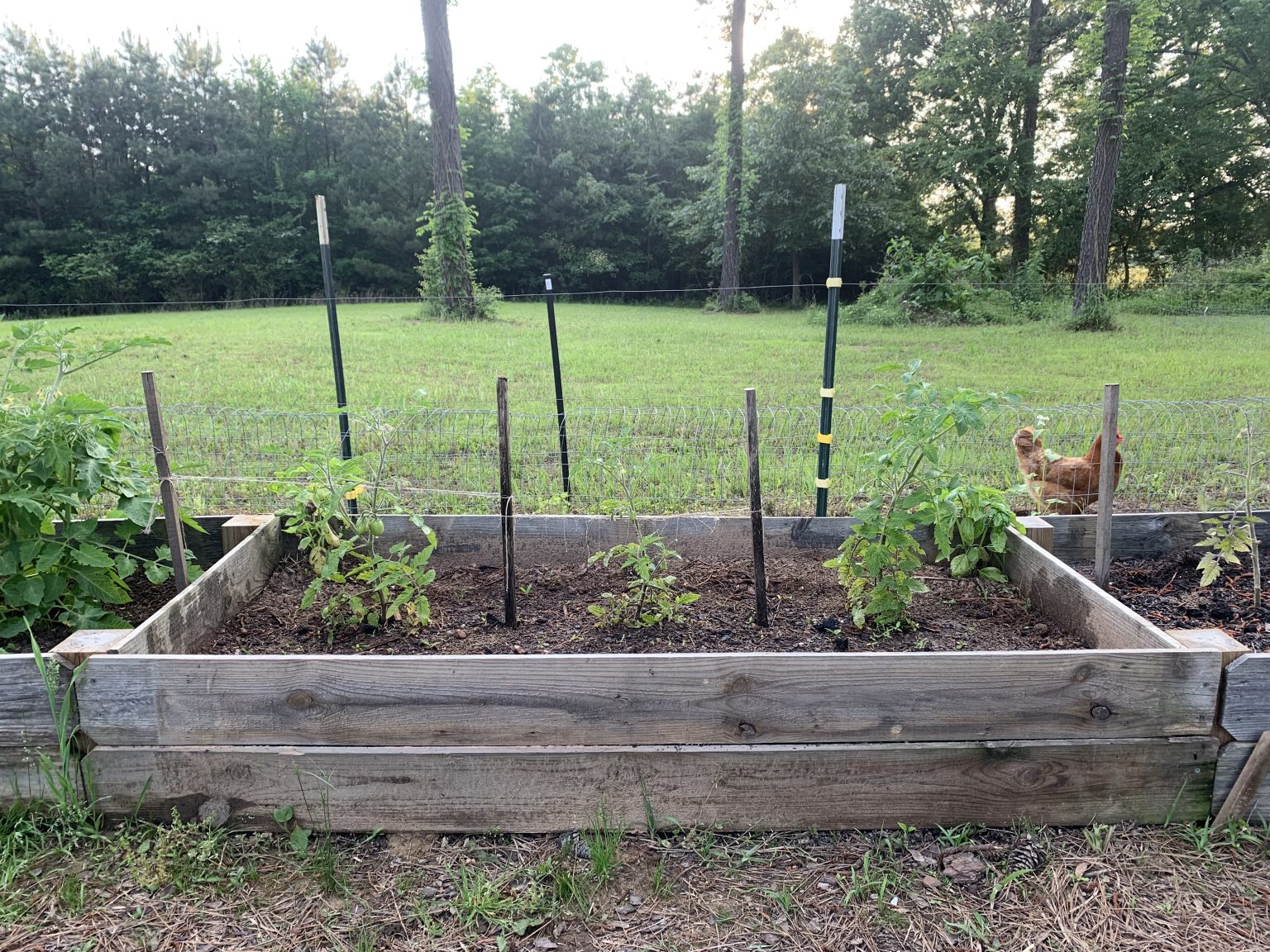 3 Raised Bed Soil Mixes Compared The Beginner's Garden