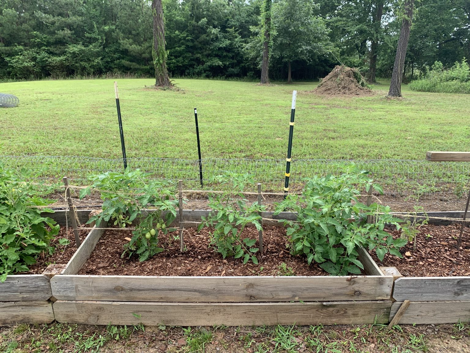 3 Raised Bed Soil Mixes Compared The Beginner's Garden