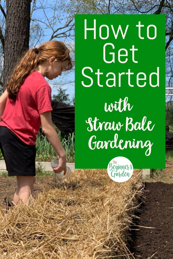 How to get started with straw bale gardening