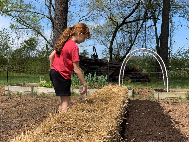 Straw Bale Gardening with Joel Karsten The Beginner's Garden