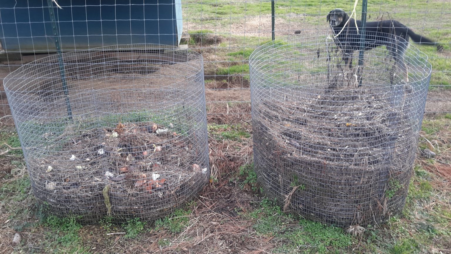 Compost Piles vs. Tumblers The Beginner's Garden