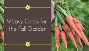 Easy Crops for the Fall Garden