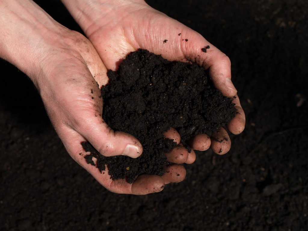 moist soil in hands