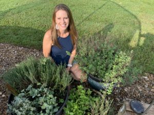 How to Grow Annual Herbs: Basil, Dill, Cilantro, and Parsley