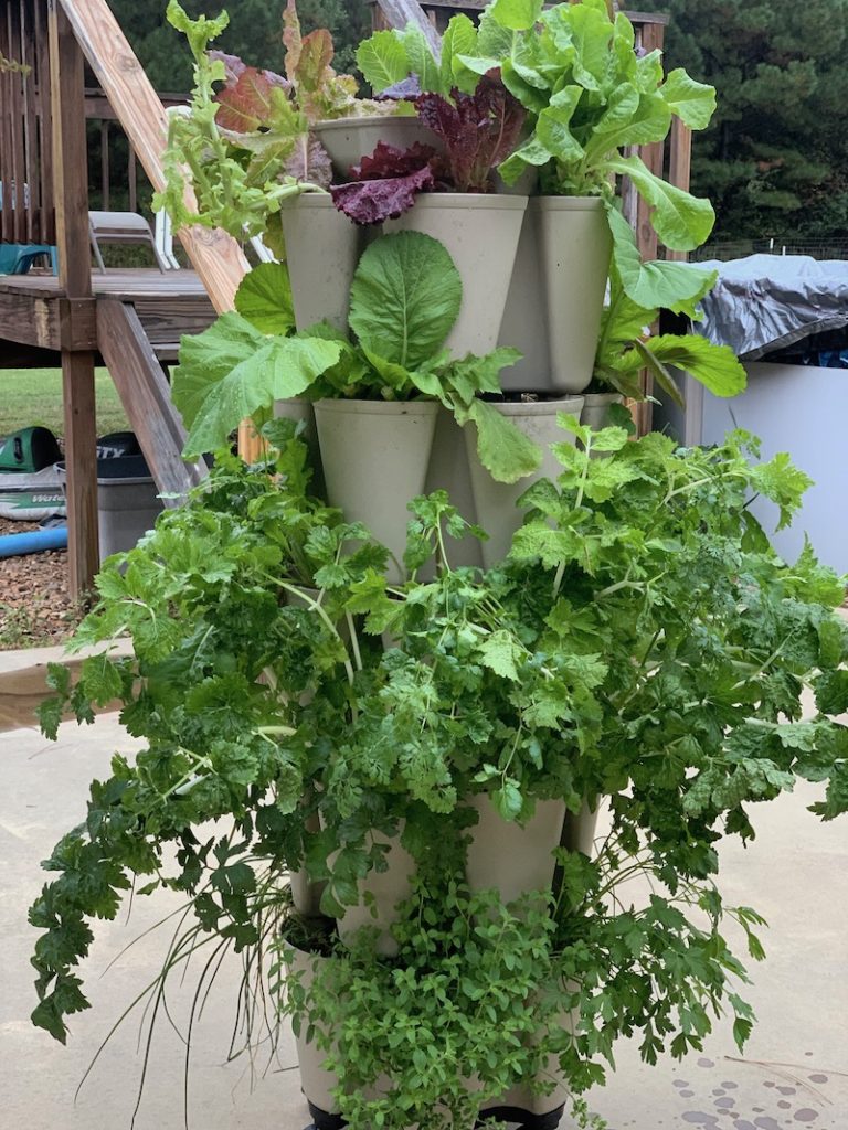 Greenstalk Vertical Planter with plants growing