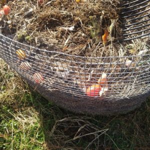 Composting for Beginners: a Quick and Easy Guide