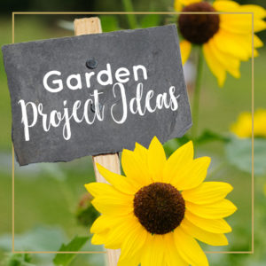 Jill_McSheehy_Journey_With_Jill_category_garden_project_ideas