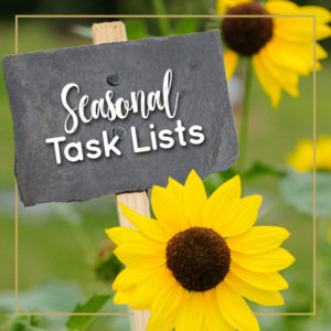 Jill_McSheehy_Journey_With_Jill_category_seasonal_task_lists