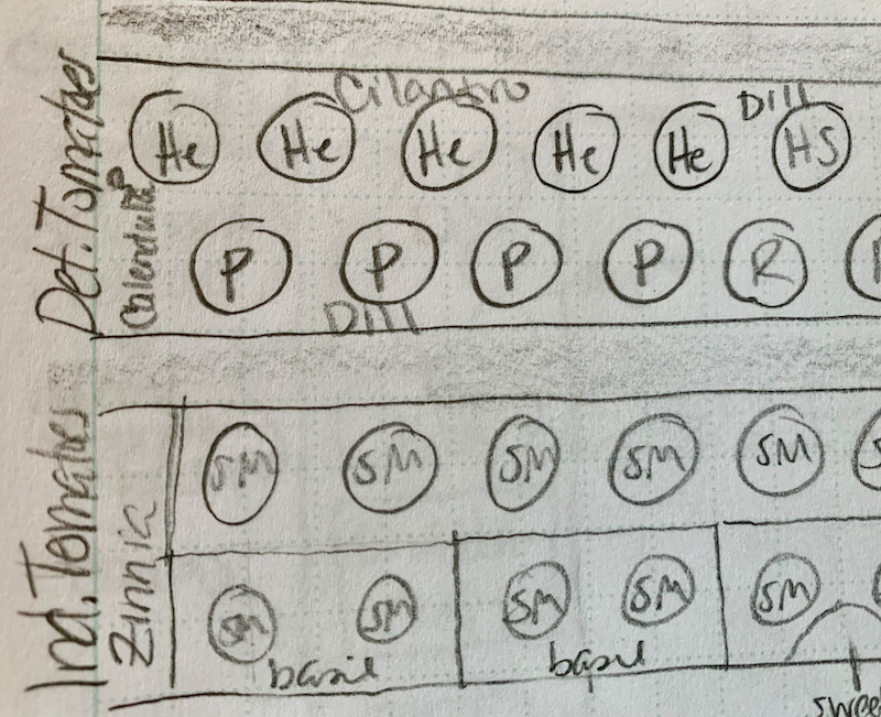 Garden plan sketch for tomatoes, herbs, and flowers