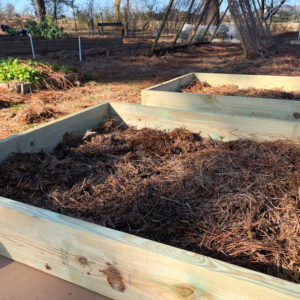 What do I Put on the Bottom of Raised Beds?