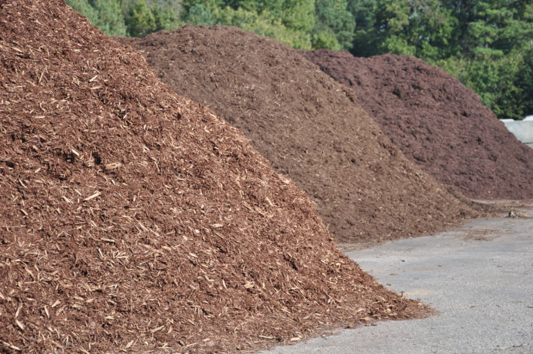 4 Types of Mulch You Can Use in Your Garden
