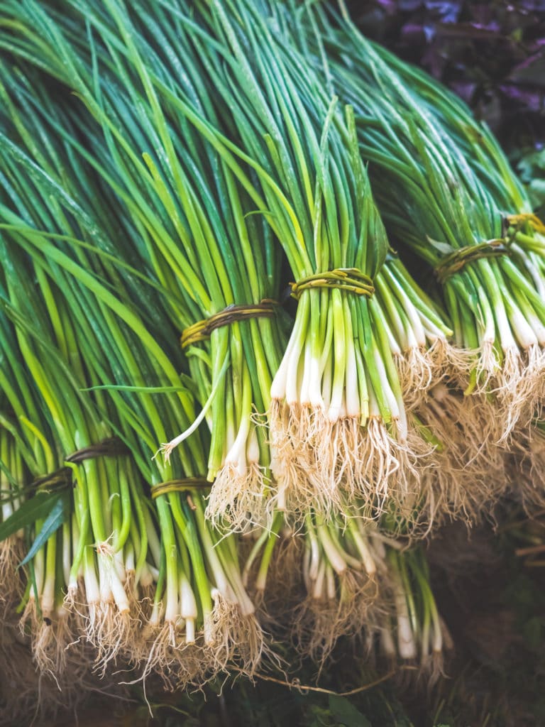 bundles of green onions