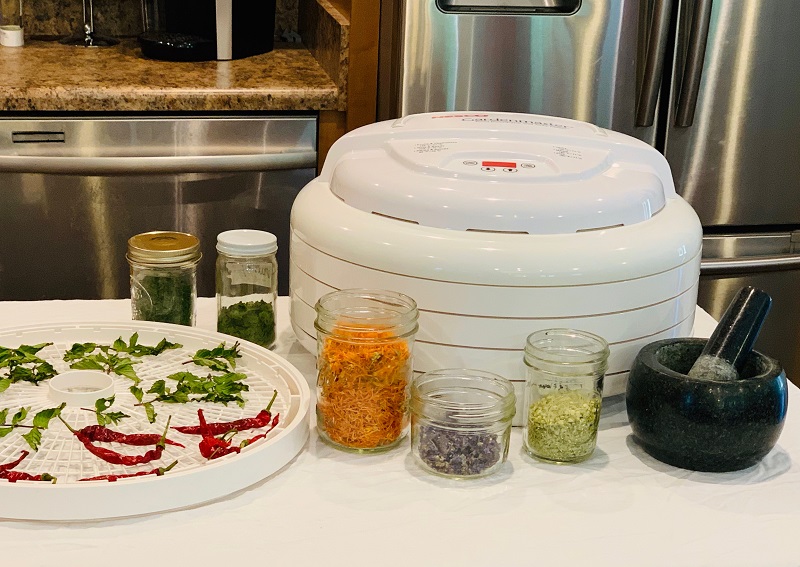 Dehydrator with herbs in jars and a mortar and pestle.