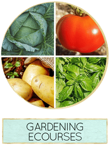 The Beginner's Garden Gardening Ecourses