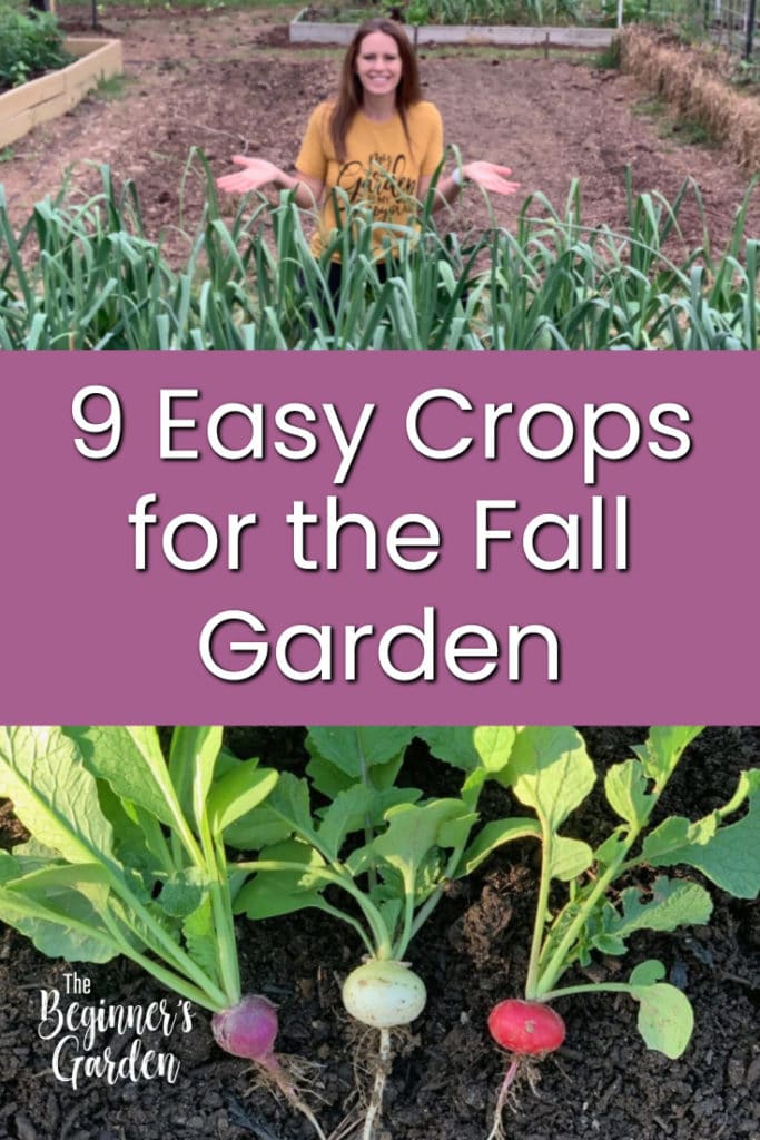 9 Easy Crops for the Fall Garden