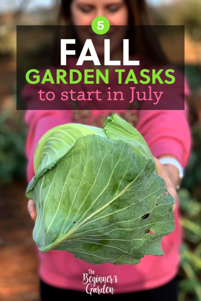 Fall Garden Tasks in July