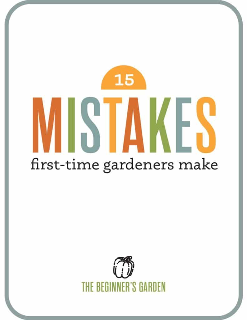 15 mistakes first-time gardeners make download