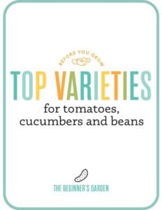 Top Varieties for Tomatoes, Cucumbers, and Beans