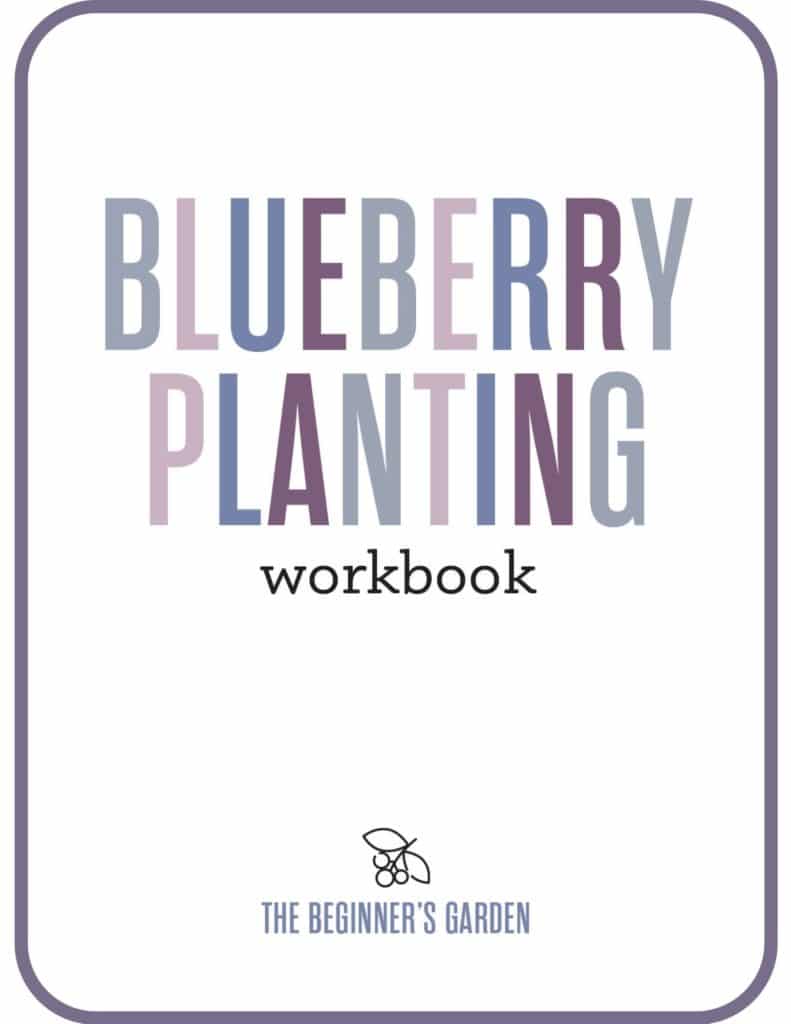 blueberry planting workbook download