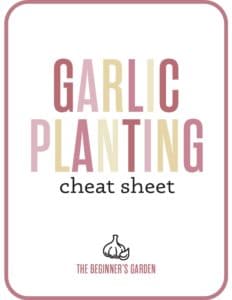 garlic planting cheat sheet