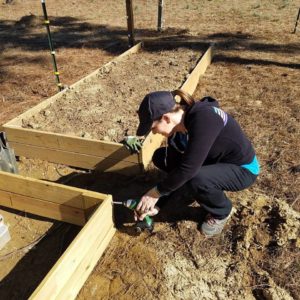7 Common Mistakes in Raised Bed Gardening